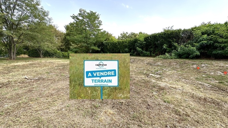 Terrain